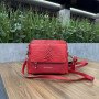 Сумка Di Gregorio 8680/VIT rosso Сумка Di Gregorio 8680/VIT rosso