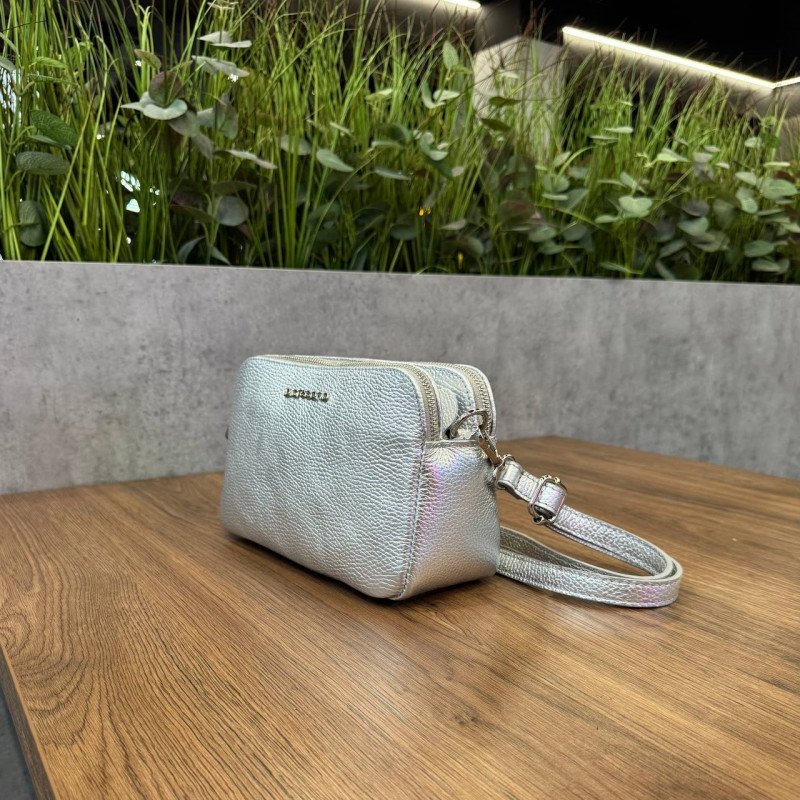 Сумка Di Gregorio 8798/VITLAM argento